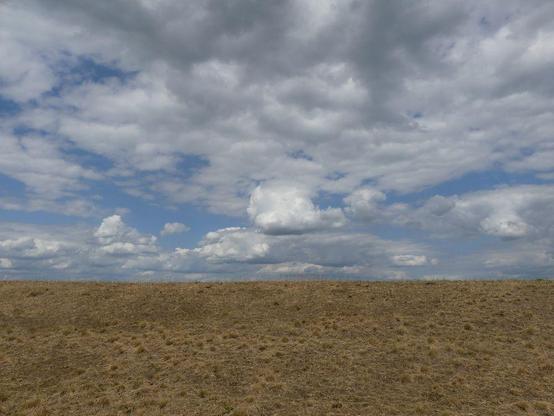gedritteltes Bild, 1/3 brauner Damm, bis auf die Erde von Schafen abgeweidet, darüber hellblauer Himmel mit Frühsommerwolken