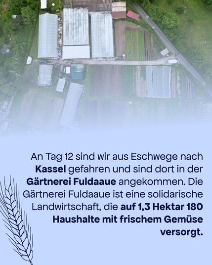 Im Hintergrund ein Drohnenfoto von einem landwirtschaftlichen Anwesen direkt von oben. 

Text: Am Tag 12 sind wir aus Eschwege nach Kassel gefahren und dins dort in der Gärtnerei Fuldaaue angekommen. Die Gärtnerei Fildaaue ist eine solidarische Landwirtschaft, die auf 1,3 Hektar 180 Haushalte mit frischem Gemüse versorgt.