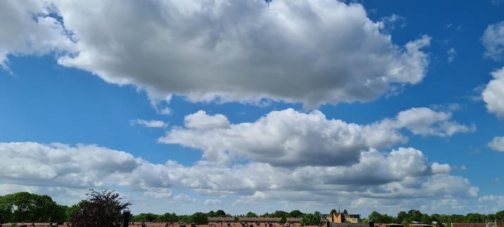 Big, white, fluffy clouds floating over just in frame red and brown tiled roof and dark green tree tops stretching to the horizon with a single, somewhat higher, yellow and orange building providing a tiny splash of bright colors in the distance.
