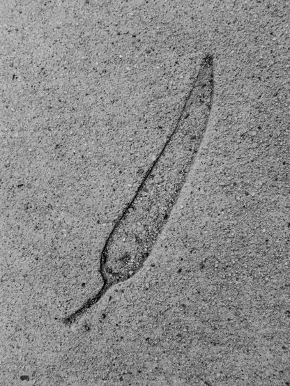 A black and white close-up image of a textured concrete surface. The concrete has a grainy, speckled appearance with small pebbles and particles visible. In the center of the image is a distinct leaf impression. The leaf impression is elongated and teardrop-shaped, with a wider rounded end tapering to a point. The impression captures fine details of the leaf's shape.