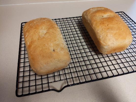 two homemade loaves of bread on a cooling rack