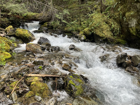 Spring runoff in creek.