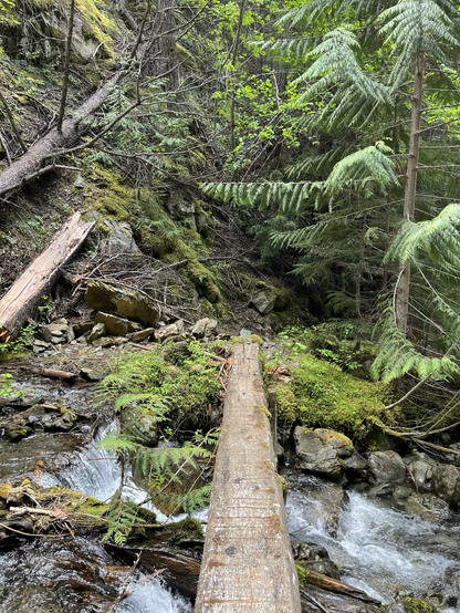 Log crossing of creek