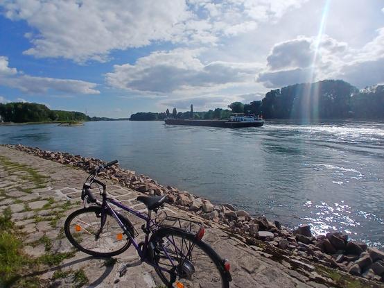 Großer Fluß mit Frachtschiff, dahinter Wald, davor ein Deich mit Steinen, Weg, Gras und einem lila Fahrrad darauf. Teils bewölkt, aber die Sonne scheint heraus und das Wasser glitzert etwas im Sonnenschein.