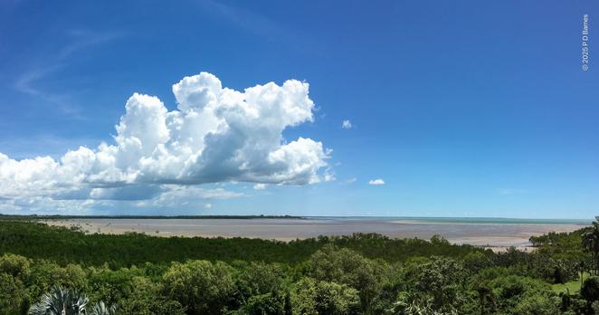 A panoramic view of Nightcliff bay, Darwin, NY. In the foreground is a dense belt of coastal manroves. Behind them is the sandy-brown expanse of the mangrove flat and shallow bay, exposed at low tide. Just visible on the apparentl horizon is a sliver of green, the Timor sea waiting to return, and above is a blue sky with a large, puffy white cumulus cloud floating by.