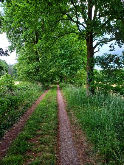 Feldweg an der niederländisch-deutschen