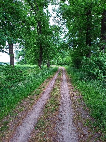 Feldweg an der niederländisch-deutschen Grenze