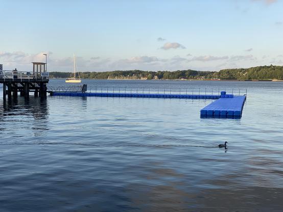 Förde, Badestelle, Wölkchen. Dynamik durch Ente und Segelboot.