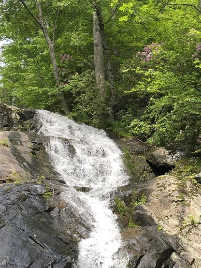 waterfall casgading over cliff in green forest