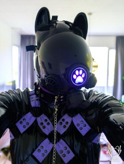 latex drone with an msa gasmask