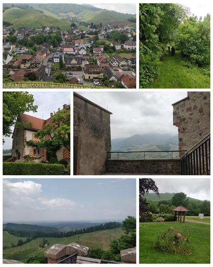 Bilder-Collage aus 6 Bildern
1. Blick auf den Ort Durbach im Hintergrund sieht man wieder Berge
2. Ein paar wandernde Menschen gehen in den Wald. Fast das ganze Bild ist grün.
3. Ein Gebäude von Schloss Staufenberg, vermutlich eine Art Herrenhaus. Die Fensterläden sind in den badischen Farben gelb und rot gestrichen.
4. Blick an zwei Gebäuden vorbei auf eine stark bewölkte Landschaft.
5. Blick auf die Weinberge herunter bei Sonnenschein.
6. Ein gepflegter Rasen, auf dem rund eine blumige Blühinsel stehen gelassen wurde. In der Blühinsel sieht man Pilzskulpturen.