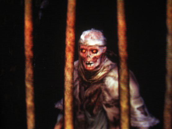 The Undead Merchant may look scary but she has a heart of gold and pockets full of moss.