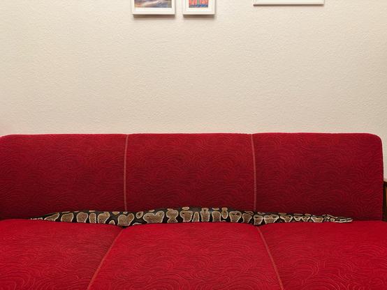 Photo of the snake sprawled across the length of the sofa.