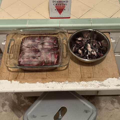 salted anchovies