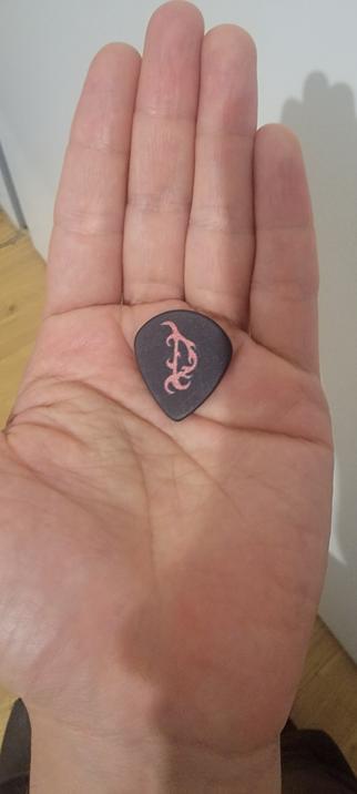Black guitar pick, with a demonized D written on it. been hold by hand.