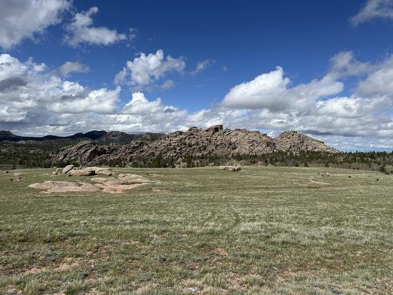 Pole Mountain area, Medicine Bow National Forest