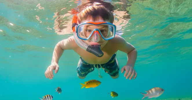 Every beach is a lab, every wave a question. 🐚🔍 Dive into 6 unforgettable marine biology adventures with your kids.

From Cornwall's rock pools to Zakynthos' turtle beaches, Europe's coastlines offer hands-on learning experiences that spark curiosity and foster a love for nature.

#familyholiday #marinebiology #learningjourney #Europe
https://europa.tips/en/european-family-vacation-discovery-learning-routes/