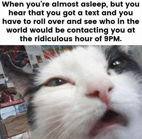 A sleep dazed gray and white cat’s face is giving a little scrunge vibe, captioned When you're almost asleep, but you hear that you got a text and you have to roll over and see who in the world would be contacting you at the ridiculous hour of 9PM.  “