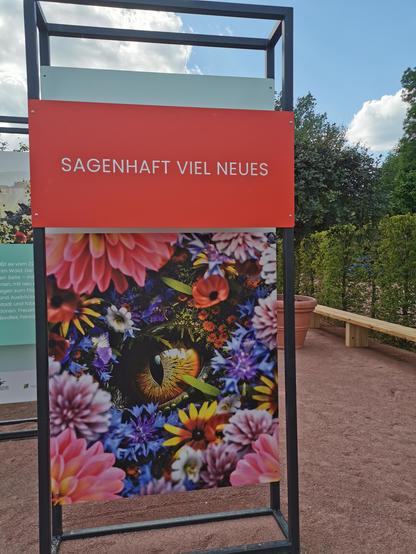 Plakat - Sagenhaft viel neues -

Darunter viele bunte Blumen und ein Drachenauge