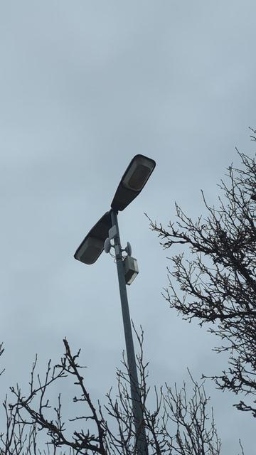 Laternenpfahl mit Unifi Richtfunk und Outdoor APs, kahle Bäume, grauer Himmel