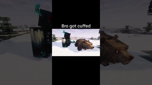 Minecraft Meme