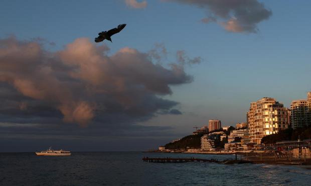 Un pájaro vuela sobre el Mar Negro frente a la costa de Yalta, Crimea, el 27 de abril de 2025. (Alexey Pavlishak / Reuters)