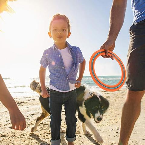 Beach-goers are being urged to support a voluntary ban on 'flying ring' frisbees