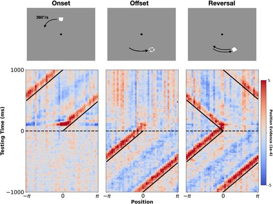 Mapping the position of moving stimuli. The top three panels show the three events of interest: stimulus onset, stimulus offset, and stimulus reversal (left to right). The bottom three panels show group-level probabilistic spatio-temporal maps centered around these three events. Diagonal black lines mark the true position of the stimulus. Horizontal dashed lines mark the time of the event of interest (stimulus onset, offset, or reversal). Red indicates high probability regions and blue indicates low probability regions (‘position evidence’ gives the difference between the posterior probability and chance). Note: these maps were generated from recordings at posterior/occipital sites.