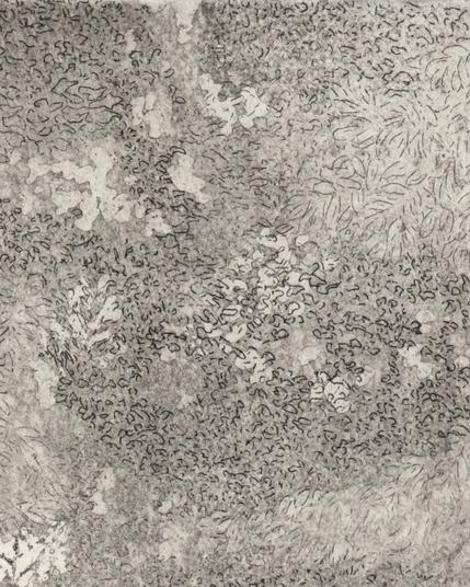 Détail d'une des impressions, en gros plan sur des motifs de végétation