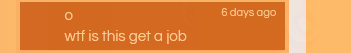 Mean comment of someone saying "wtf is this get a job"