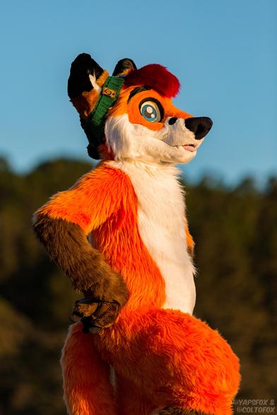 Colto Fox (orange, white, brown and red fox fursuiter) standing tall on a mountain with his hands on his hips looking upward to the right. He's standing on a mountain top surrounded by distant trees while on a rocky surface. He's wearing a green beanie.