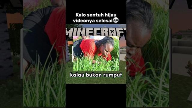 Minecraft, tapi aku gak boleh sentuh warna hijau