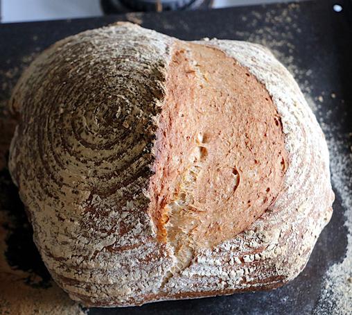 Rustic wholemeal sourdough loaf should large expansion — oven spring — in baking where there was a single score cut as well as flour marks resulting from final proof in a banneton.