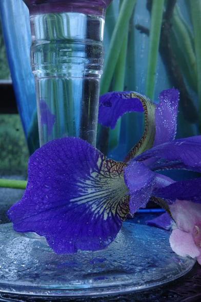A rain-soaked blue German iris lies in front of a wet goblet, the stem of which can be seen, filled with purple rhododendron, which is reflected in the glass stem at the top of the image. In the background, the bottom of a blue vase filled with German iris is visible. The entire thing rests on a large, wet piece of black glass.