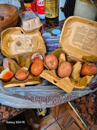 Cartons of eggs smashed to pieces.