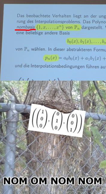 Obere Hälfte: 
Foto von Vorlesungsfolien
"[...] nombasis {1, x, ..., x^n} [...]".
Untere Hälfte:
Foto eines Baumes der eine Metallstange verschlingt. In den "Mund" des Baumes ist die Orthonormalbasis des Vektorraums R³ also ((1,0,0),(0,1,0),(0,0,1)) reingefotoeditiert.
Am unteren ende des Bilds steht "nom om nom nom".