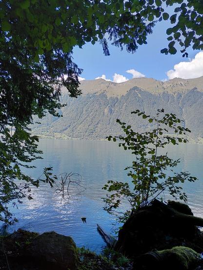 Blick zwischen Bäumen durch auf einen See mit Felsen am Ufer. Im Hintergrund Berge.