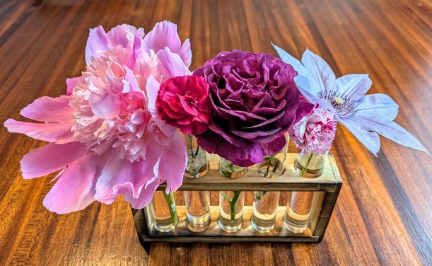 A five test tube flower planter display. From left to right: large pink peony, small red dianthus, large purple rose, small pink and white dianthus, and a blue grey clematis.