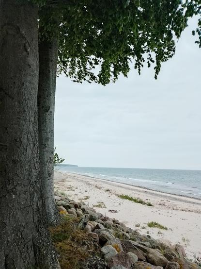 Noch ein Blick aus dem Wald auf den Strand. Weißer Sand, aber zwischendrin ein paar Steine. Ganz in der Ferne ist die bewaldete Küste zu erkennen, die unser heutiges Ziel sein sollte.