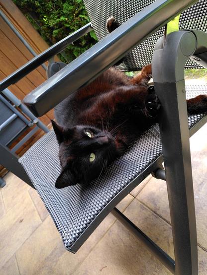 Eine schwarze Katze mit grünen Augen, die ausgestreckt auf einem Gartenstuhl liegt.