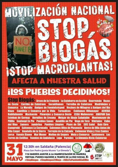 MOVILIZACION NACIONAL
STOP, BIOGAS
iSTOP MACROPLANTAS!
AFECTAA NUESTRA SALUD
iLOS PUEBIOS DECIDIMOS!

Stop Biogás: Arcos de la Frontera La Calahorra en Acción - Guarromán Hazas de Cesto Carrión de Calatrava Socuéllamos Torralba de Calatrava Madridejos y Comarca La Morañīa Amigos de Fuentelcésped Vecinos de Milagros y Amigos del Rio Riaza Santillán y Comarca por la Vida - Tornadizos Cuidamos Villamayor ASVEBA Babilafuente Machacón - Pinarejos y Comarca Oeste- CEGA Muñoveros AVAPAM San Esteban de Gormaz Hornillos de Eresma Melgar de Abajo Saludable Montemayor de Pililla - Santonpi En Pile Pueblos Sanos Avedillo en Pie- Vega de Tera- Vidriales Cubo del Vino Zamora Iambrina - Pueblos Limpios Plans de Sió SOS Salut Baix Ebre Campredó - Salvemos la Coronada - Salvemos Oliva de Plasencia Berce do UIla-Antas de Ulla (Lugol- Guadalix de la Sierra Torrejón de la Calzada- Colmenar Viejo y Tres Cantos Lorca Fuente Alamo Mar Menor Molina de Segura - Mula y Comarca- Santomera Las Torres de Cotillas Fuentes de Andalucía Lugo Paredes La Almunia-Ricla-Calatorao

12:30h en Saldaña (Palencia)
Plaza San Pedro (junto Museo "La Olmeda")

SI QUIERES ASISTiR A LA MANIFESTACIÓN DE MANERA ViRTUAL PUEDES HACERIO A TRAVÉS DE LA RED SOCIAL X

#StopBiogas #StopBiogas31Mayo #NiEnTuPuebloNiEnEIMio