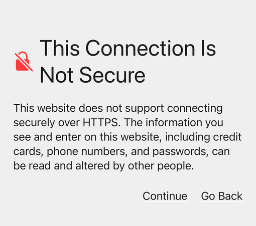 This Connection Is Not Secure This website does not support connecting securely over HTTPS. The information you see and enter on this website, including credit cards, phone numbers, and passwords, can be read and altered by other people.