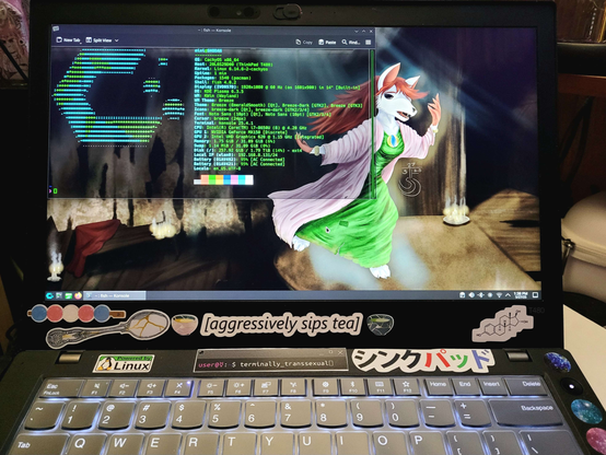 A picture of an operational Lenovo Thinkpad T480 running Cachy OS Linux, on the desk top is a white-furred canine with red hair dances alone in an abandoned music hall, while being bathed in soft moon and candlelight. Her eyes are blacked over, aimless. She wears an initially fancy looking green, velvety dress and a puffy pink coat, though both are somewhat dirty, rundown, and stitched back together.