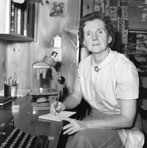 Pic of Rachel Carson with pen, pad and microscope on table to her right
https://goldenglobes.com/articles/trigger-environmental-conscience-rachel-carsons-book-silent-spring/
