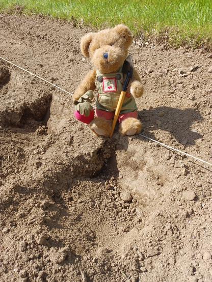 A ten inch tall (25cm), light brown teddy bear in green overalls sits looking directly at the camera. His name is BeetBear. He is holding a beet in his right paw.  There is a bunch of beets embroidered on the bib of his overalls.  He is holding a small shovel and in front of him is a hole dug in garden soil in preparation for planting out some corn plants.  A garden string line runs diagonally through the picture.