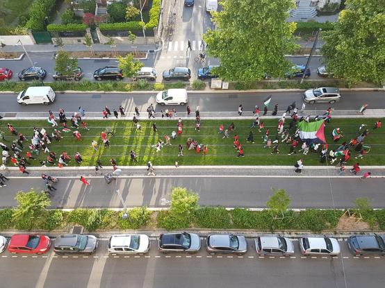 Cours de la Libération à Grenoble. 
Sur la pelouse de la ligne de tram défile un cortège pour soutenir la Palestine. 27 mai 2025.