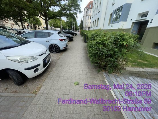 Die Mindestens Breite des Fussverkehrs in Gleichen Strasse im Zukünftigen VeloVorangNetz ist Nicht gewährleistet- Da der erweiterte öffentlichen Autolagerflächen - Entweder vertikal unmittelbar- An die An sich Breite Radtrasse stehen - Btw. Ohne echte Dooring Zone ( 1m) parallel in Zwei Reihen den Anderen Verkehr - Ohne Auto behindern/ Einschränken
