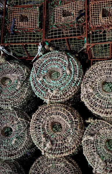 View from above of several fish and octopus trap nets