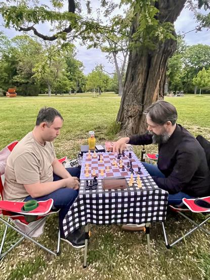 Zwei Personen spielen Schach in einem Park, auf Klappstühlen sitzend, mit einem karierten Tischtuch und einem Schachbrett. Im Hintergrund sind Bäume und grünes Gras zu sehen, die eine ruhige Umgebung schaffen.