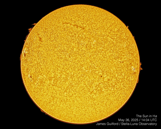 Full disk image of the Sun in hydrogen-alpha light. Visible are surface granulation, filaments, sunspots, spicules, and prominences around the rim. The solar disk is a shade of yellow (false color applied) and the prominences are dark orange, all set against a black background. The result is a big improvement over what we have previously achieved thanks to Solar Toolbox for PixInsight.